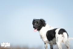 © all rights reserved - Photo by Lisanne Bakker