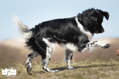 © all rights reserved - Photo by Lisanne Bakker