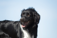 © all rights reserved - Photo by Lisanne Bakker