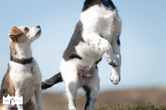 © all rights reserved - Photo by Lisanne Bakker