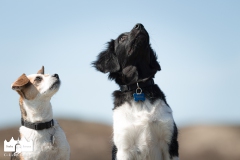 © all rights reserved - Photo by Lisanne Bakker