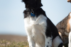 © all rights reserved - Photo by Lisanne Bakker