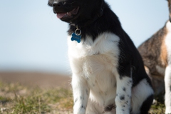 © all rights reserved - Photo by Lisanne Bakker