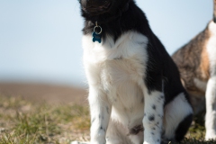 © all rights reserved - Photo by Lisanne Bakker