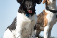 © all rights reserved - Photo by Lisanne Bakker