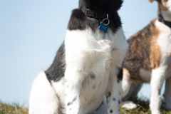 © all rights reserved - Photo by Lisanne Bakker