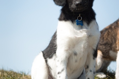 © all rights reserved - Photo by Lisanne Bakker