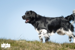 © all rights reserved - Photo by Lisanne Bakker