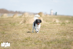 © all rights reserved - Photo by Lisanne Bakker