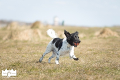 © all rights reserved - Photo by Lisanne Bakker