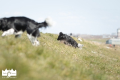 © all rights reserved - Photo by Lisanne Bakker