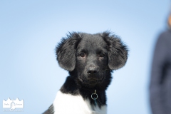 © all rights reserved - Photo by Lisanne Bakker