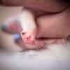 meiske-teef-LBAK-20201228-_MG_7507