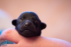 hartje-reu-LBAK-20201228-_MG_7553