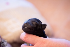 hartje-reu-LBAK-20201228-_MG_7555