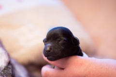 hartje-reu-LBAK-20201228-_MG_7556