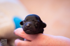 hartje-reu-LBAK-20201228-_MG_7559