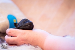 hartje-reu-LBAK-20201228-_MG_7563