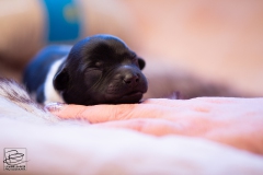 hartje-reu-LBAK-20201228-_MG_7568