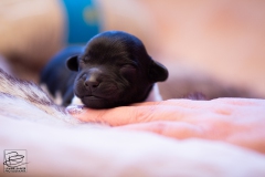 hartje-reu-LBAK-20201228-_MG_7572