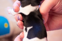 hartje-reu-LBAK-20201228-_MG_7576