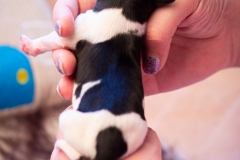 hartje-reu-LBAK-20201228-_MG_7581