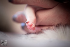 meiske-teef-LBAK-20201228-_MG_7507