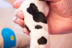 meiske-teef-LBAK-20201228-_MG_7525