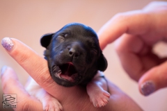 mr.-big-reu-LBAK-20201228-_MG_7610