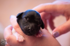 mr.-big-reu-LBAK-20201228-_MG_7613