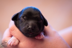 mr.-big-reu-LBAK-20201228-_MG_7620