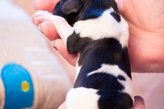 mr.-big-reu-LBAK-20201228-_MG_7626