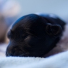© all rights reserved - Photo by Lisanne Bakker