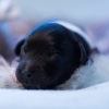 © all rights reserved - Photo by Lisanne Bakker