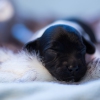 © all rights reserved - Photo by Lisanne Bakker