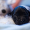 © all rights reserved - Photo by Lisanne Bakker