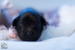 © all rights reserved - Photo by Lisanne Bakker