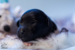 © all rights reserved - Photo by Lisanne Bakker