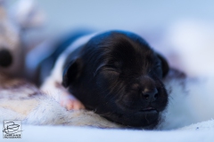 © all rights reserved - Photo by Lisanne Bakker