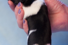 © all rights reserved - Photo by Lisanne Bakker