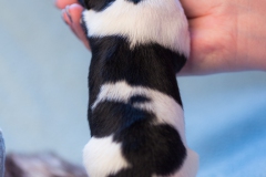 © all rights reserved - Photo by Lisanne Bakker