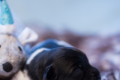 © all rights reserved - Photo by Lisanne Bakker