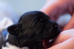 © all rights reserved - Photo by Lisanne Bakker