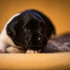© all rights reserved - Photo by Lisanne Bakker