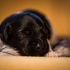 © all rights reserved - Photo by Lisanne Bakker