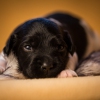 © all rights reserved - Photo by Lisanne Bakker