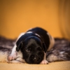 © all rights reserved - Photo by Lisanne Bakker