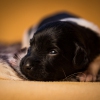 © all rights reserved - Photo by Lisanne Bakker