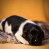 © all rights reserved - Photo by Lisanne Bakker