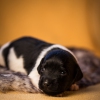 © all rights reserved - Photo by Lisanne Bakker
